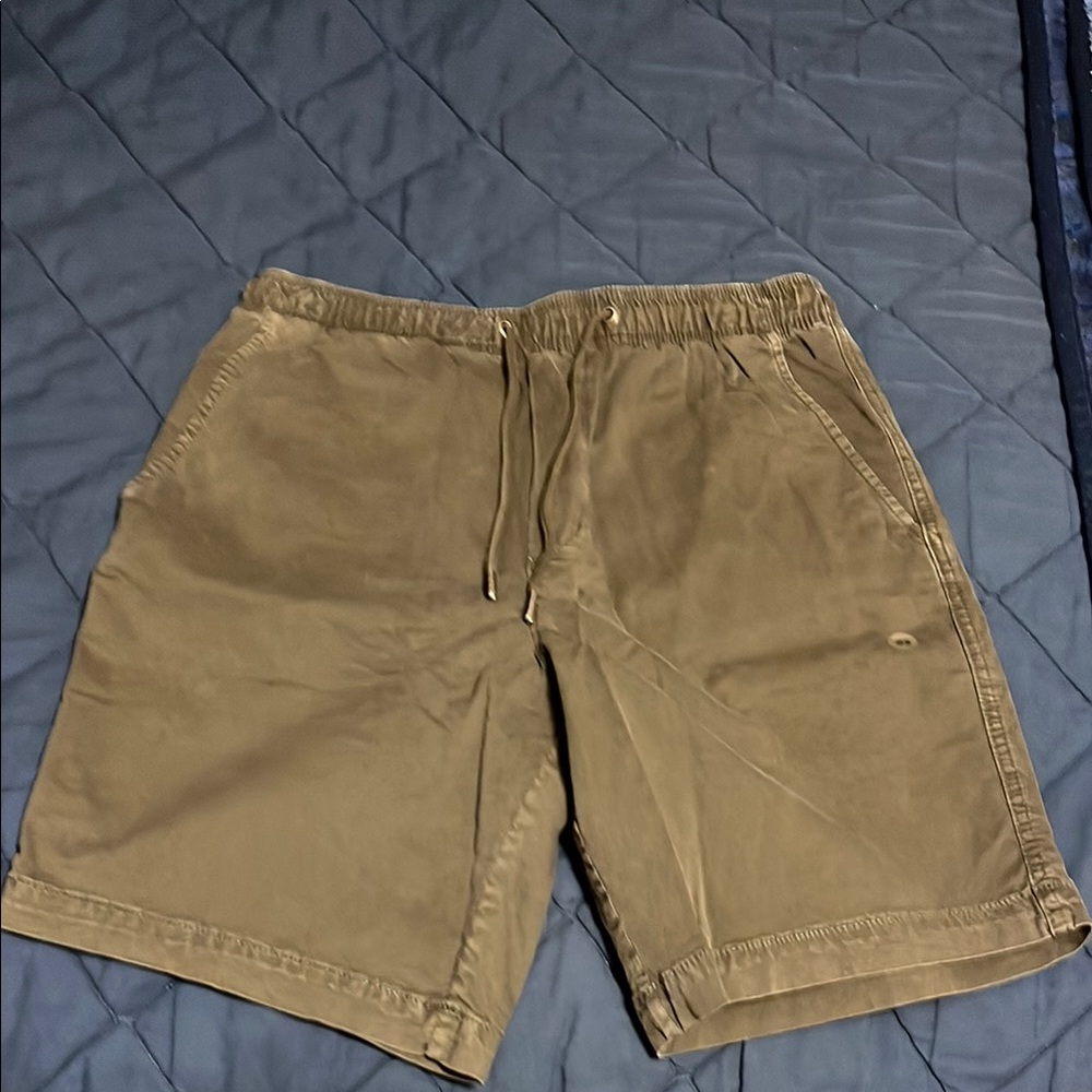 American Eagle Outfitters Tan Flat Front Shorts